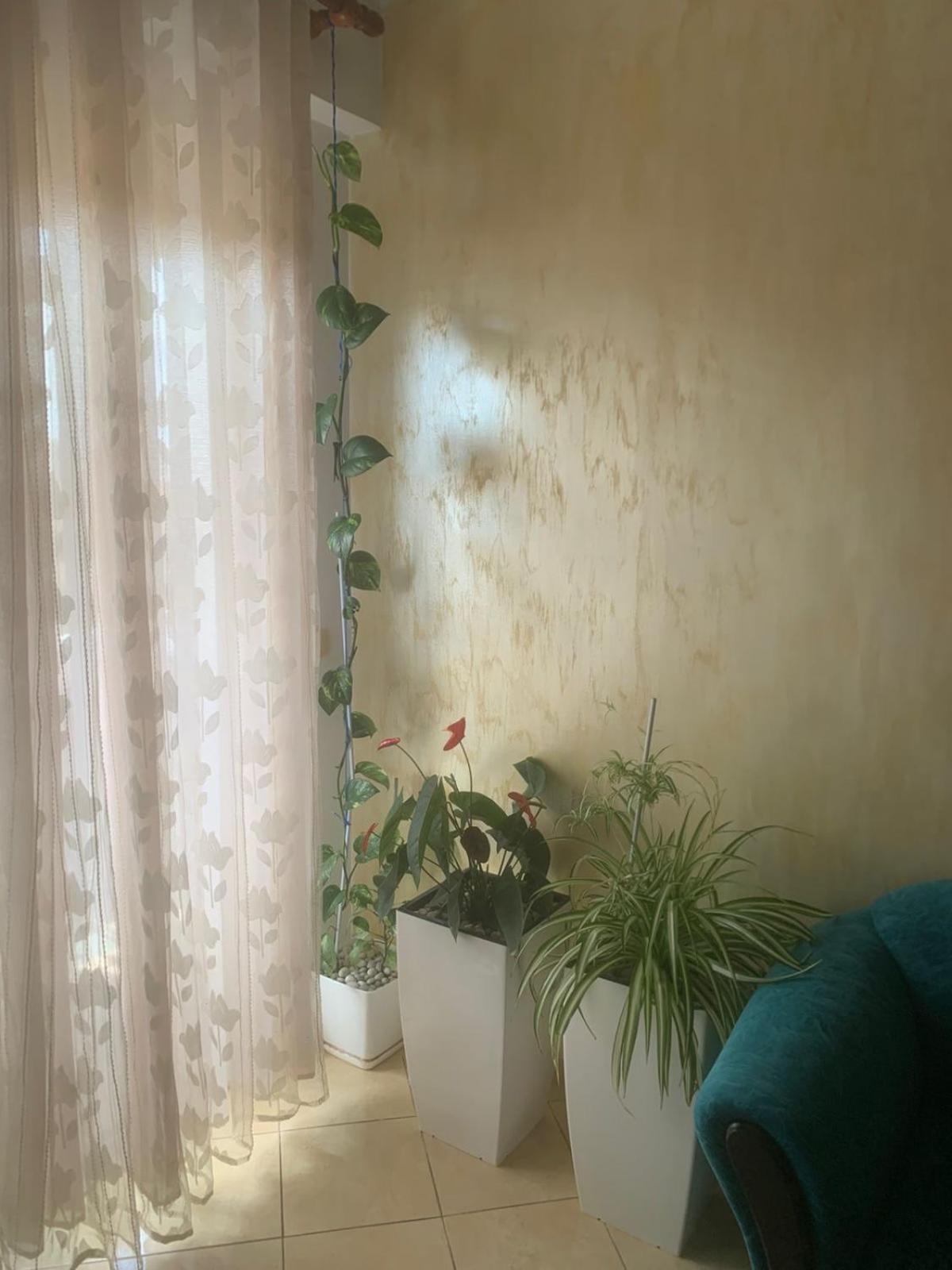 Guest House فيير المظهر الخارجي الصورة